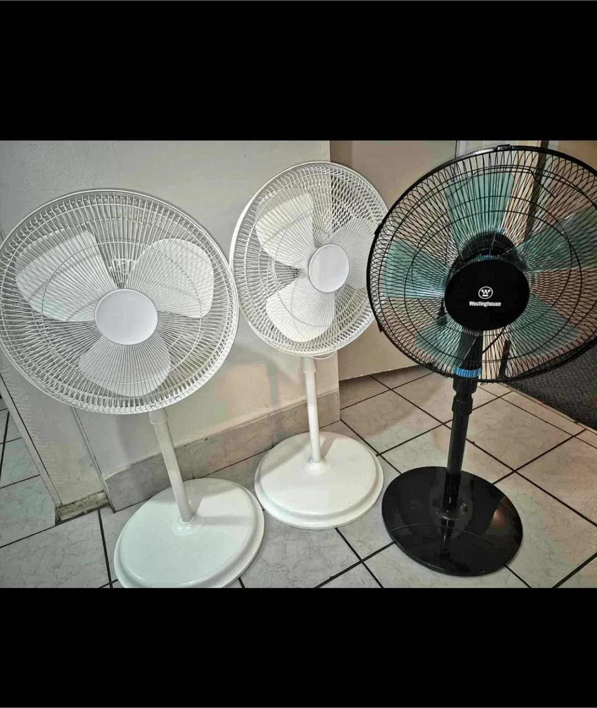 3 stand up fans thumbnail