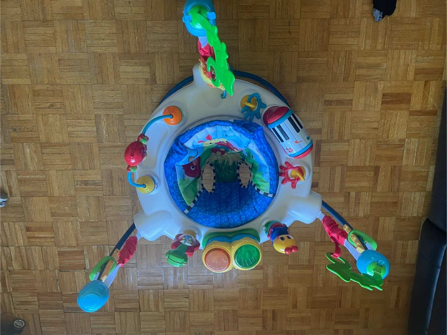 Baby Einstein Around We Grow Activity Center