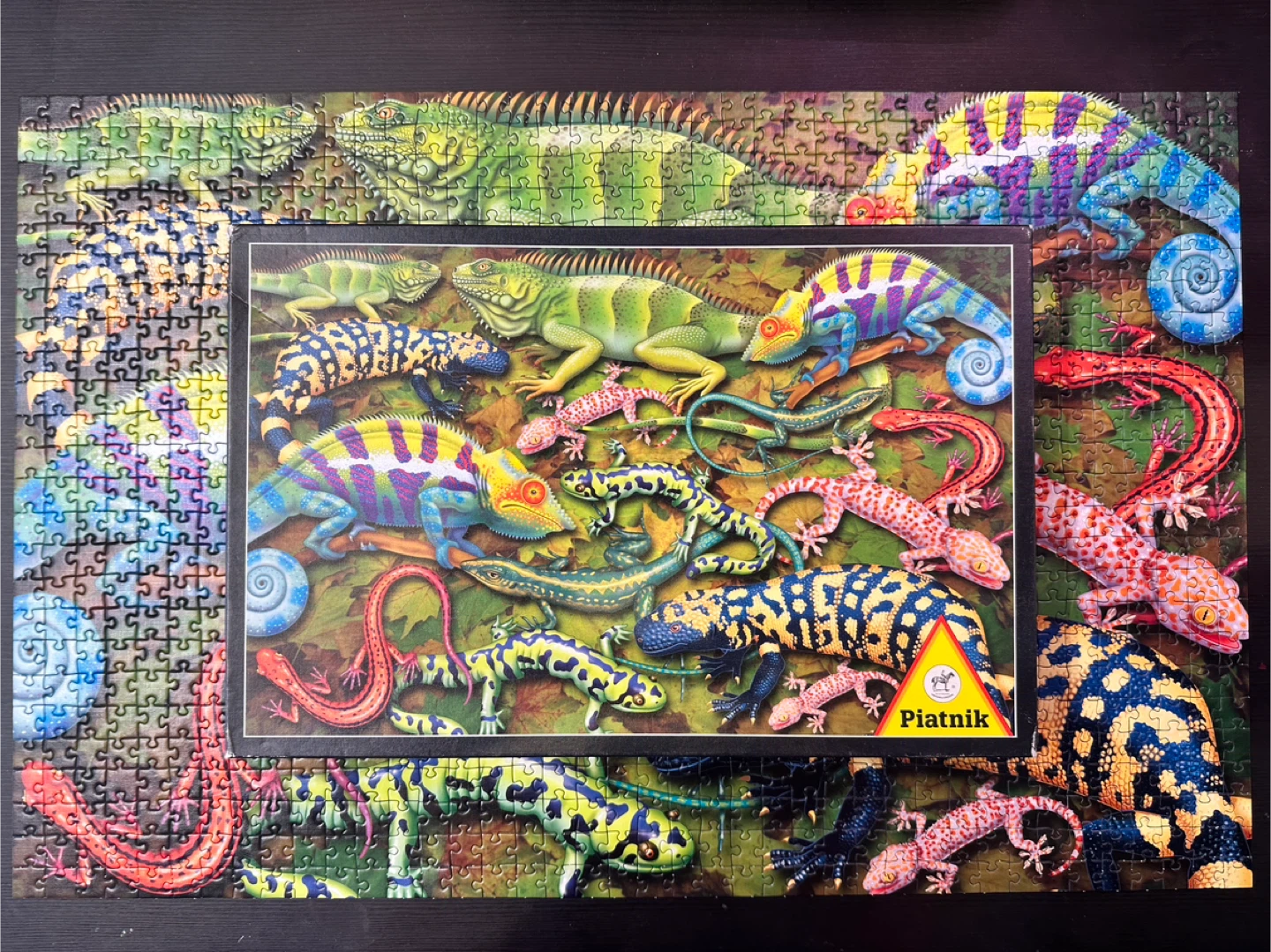 Puzzle: 1000 Salamanders