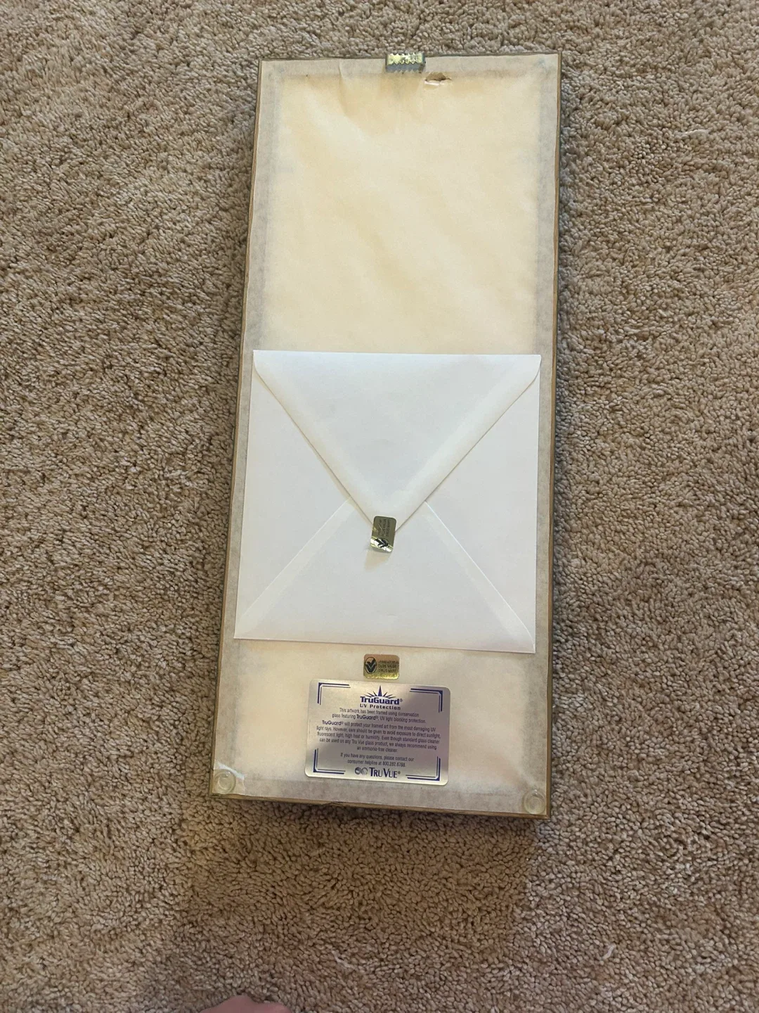 Framed Bird of Paradise Print image indicator(2)