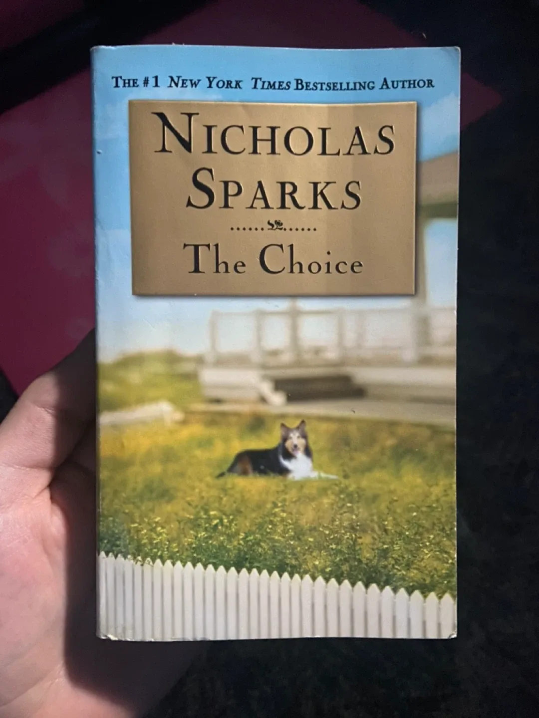 $5 for all Nicholas Sparks The Choice, The Notebook, Safe Haven image indicator(4)