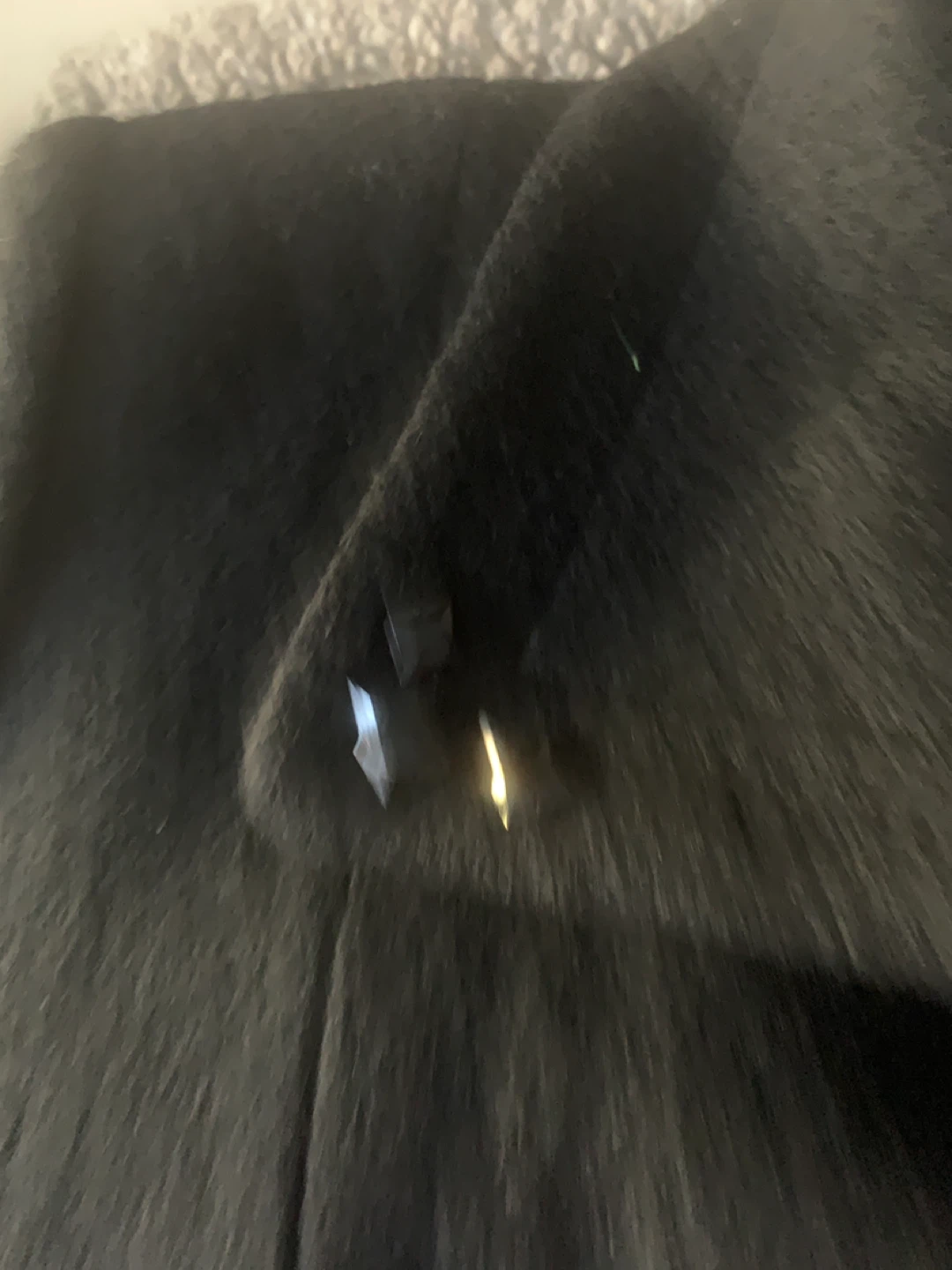 Tradition Petite Black Coat - Size 16 - photo 4