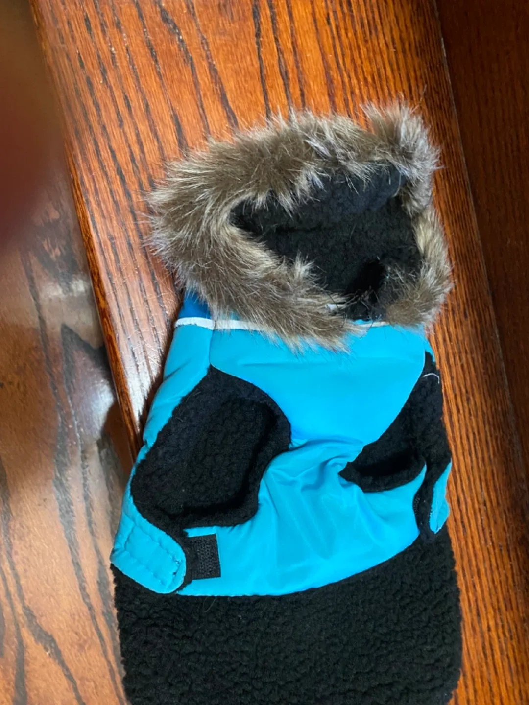 Show & Tail Quilted Dog Coat - Size XS image indicator(2)