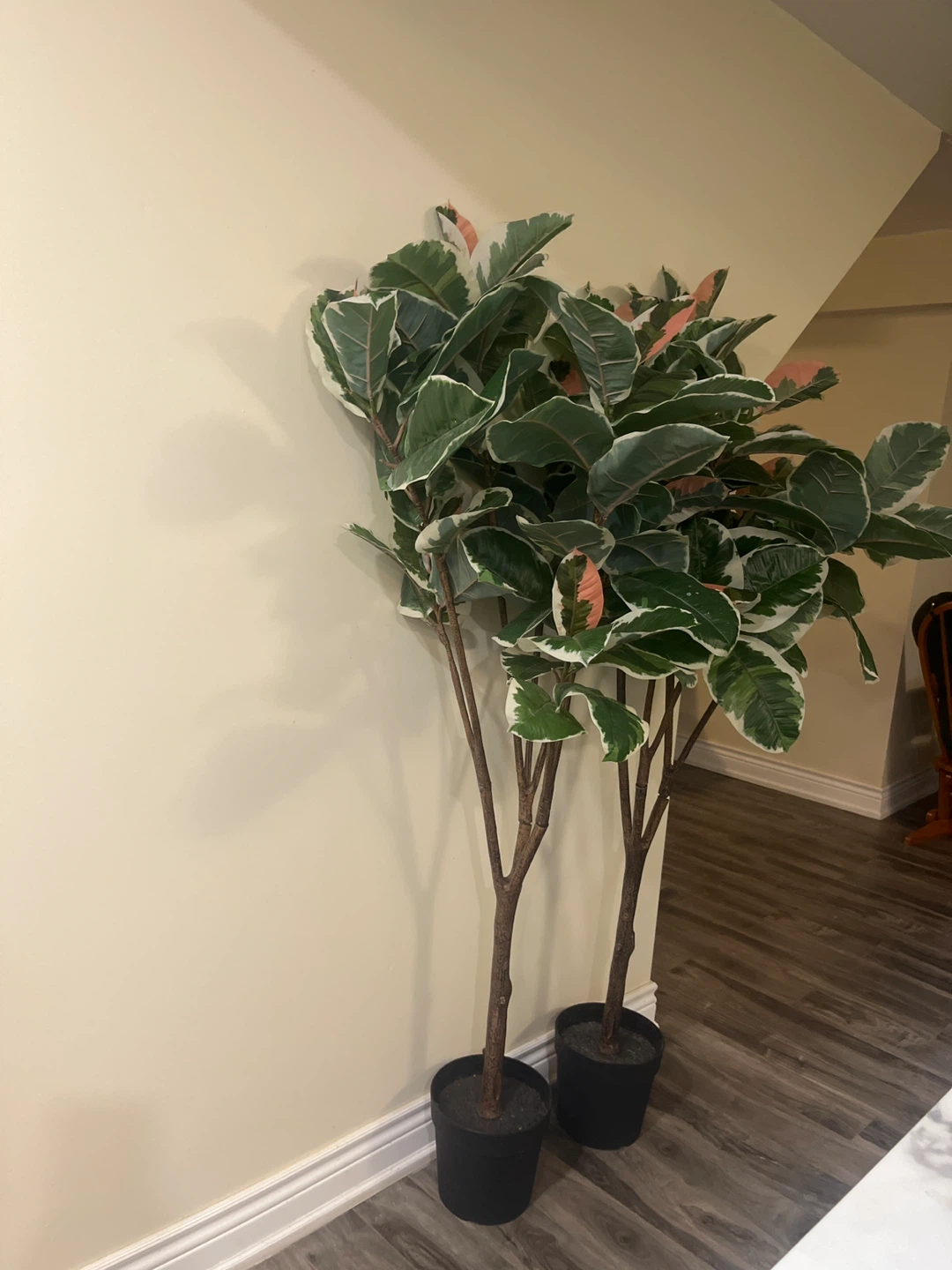 Faux Ficus Tree - photo 3