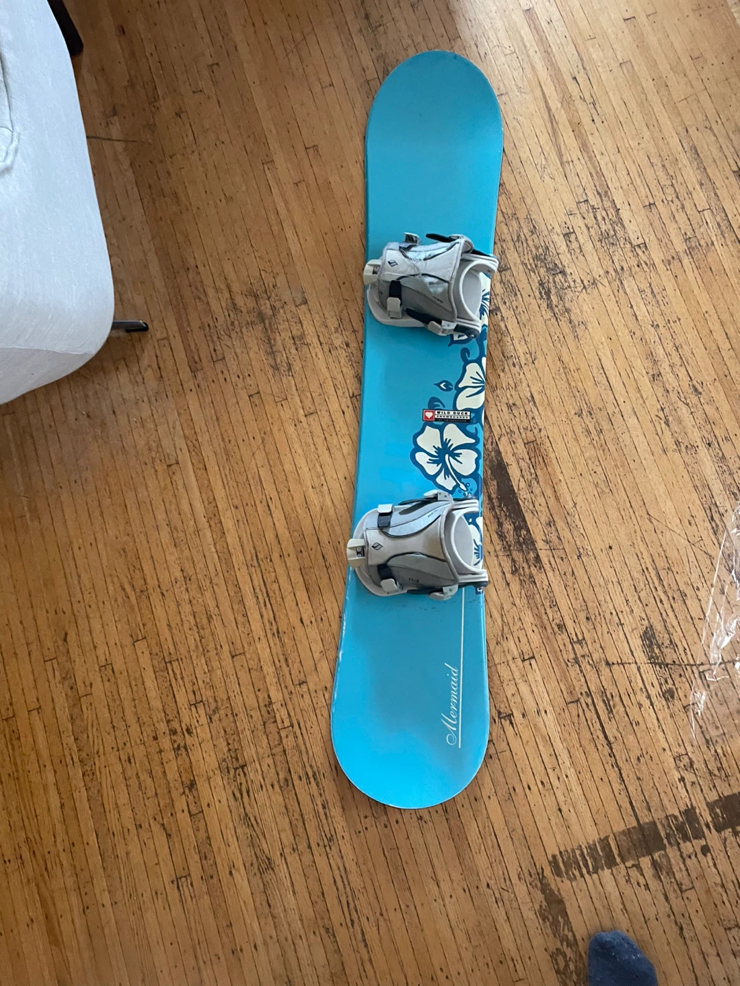 Wild Duck Mermaid Snowboard