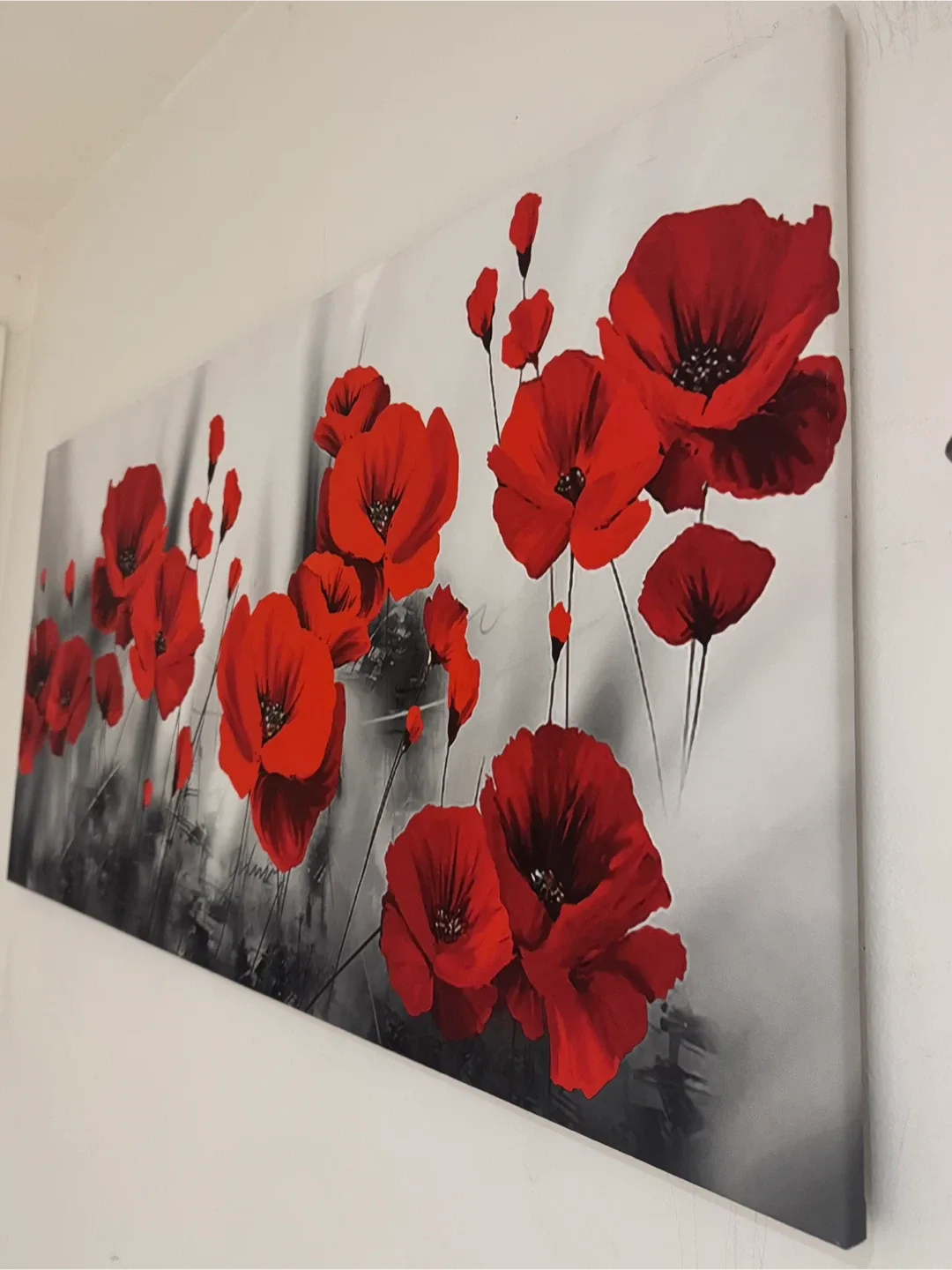 Home decoration/ Wall decoration/ Canvas painting image indicator(2)