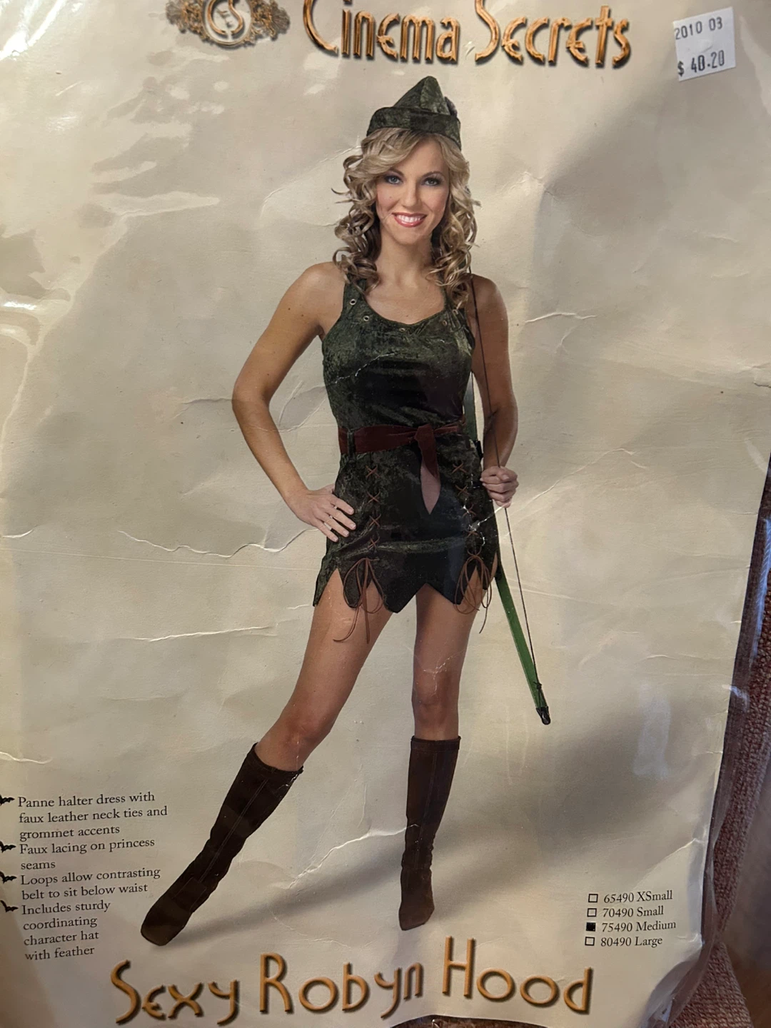 Robyn Hood Costume (Ladies)