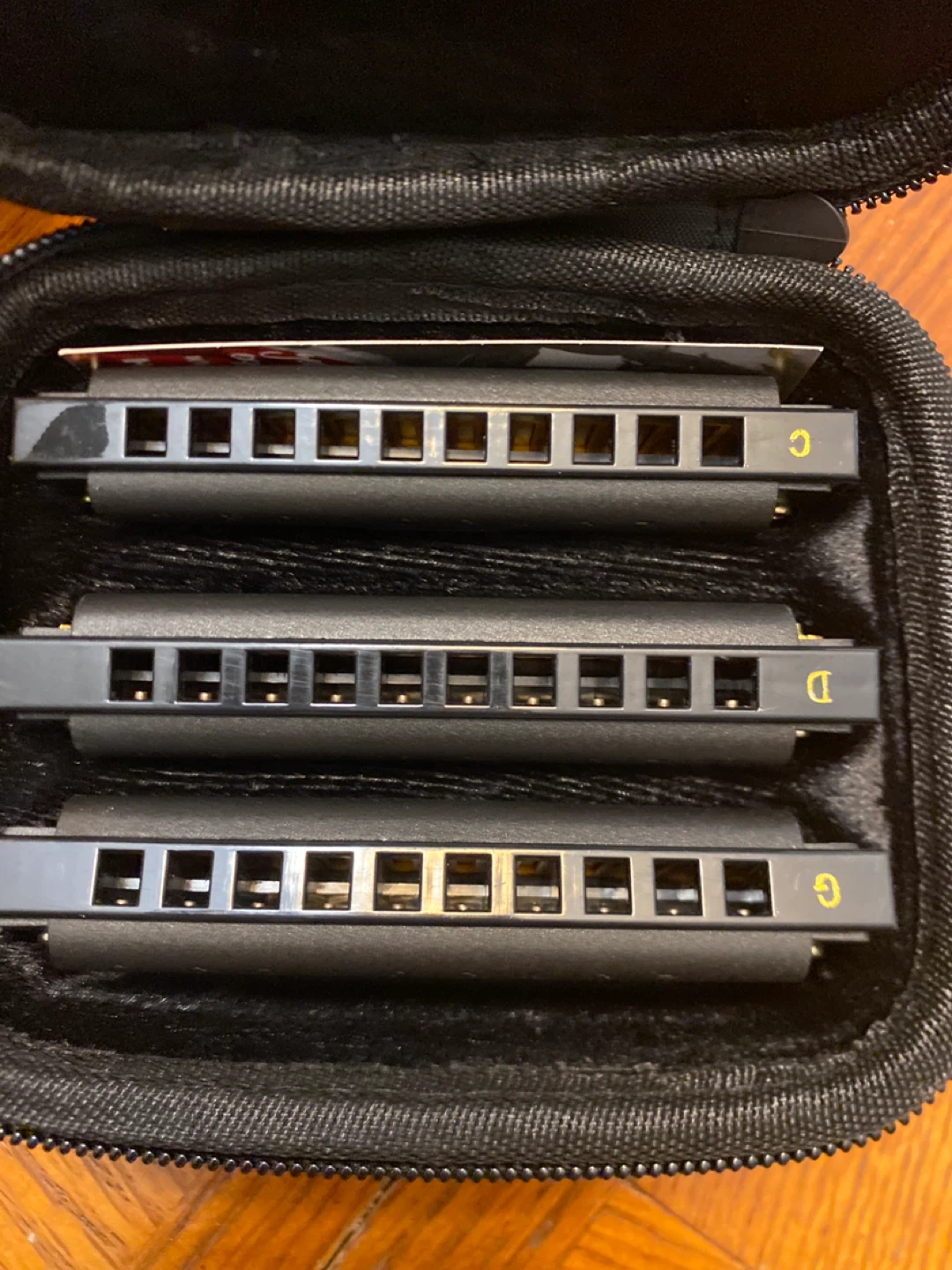 Hohner Hoodoo Blues Harmonica Set with Case