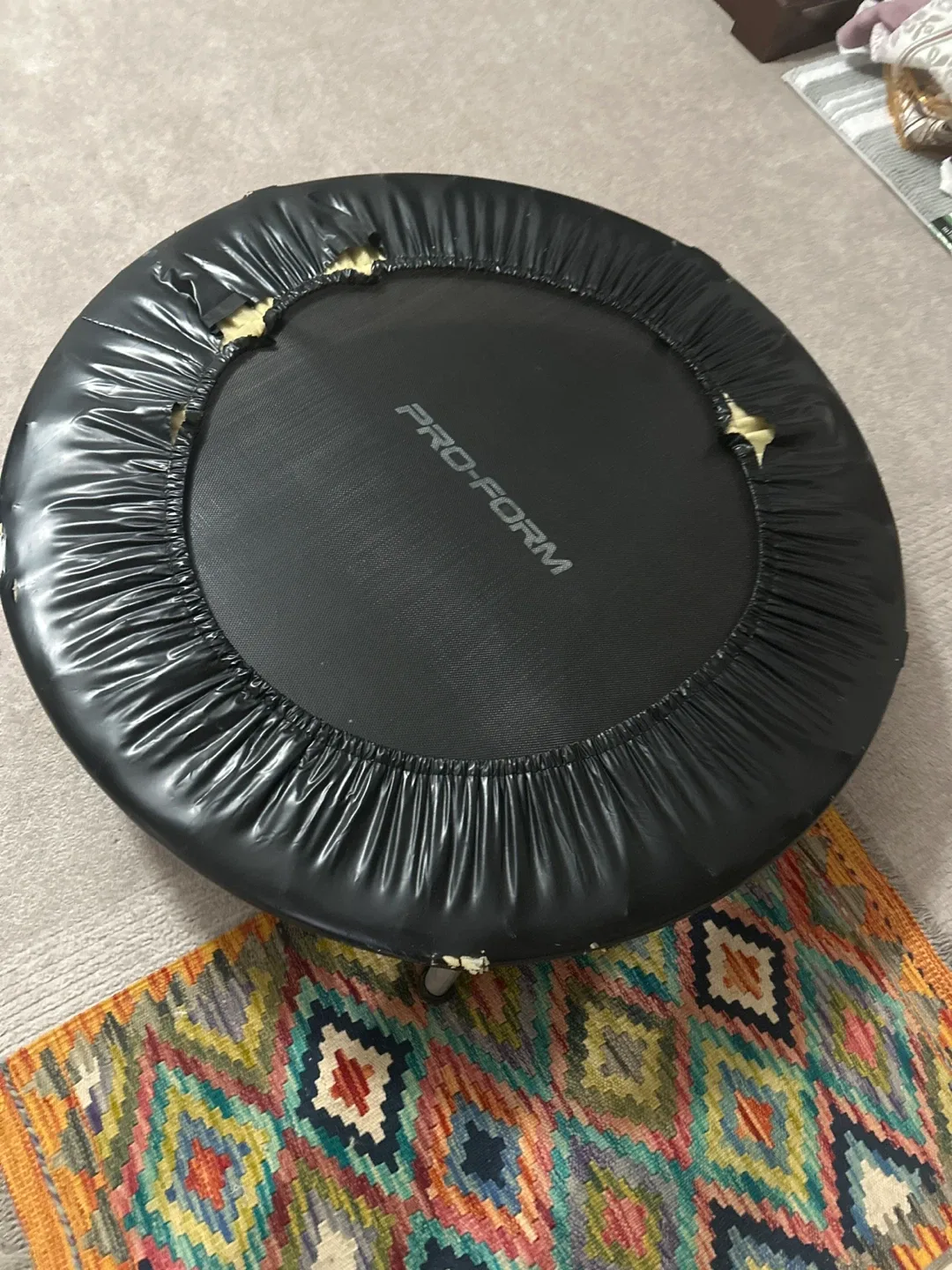 Pro-Form Mini Trampoline