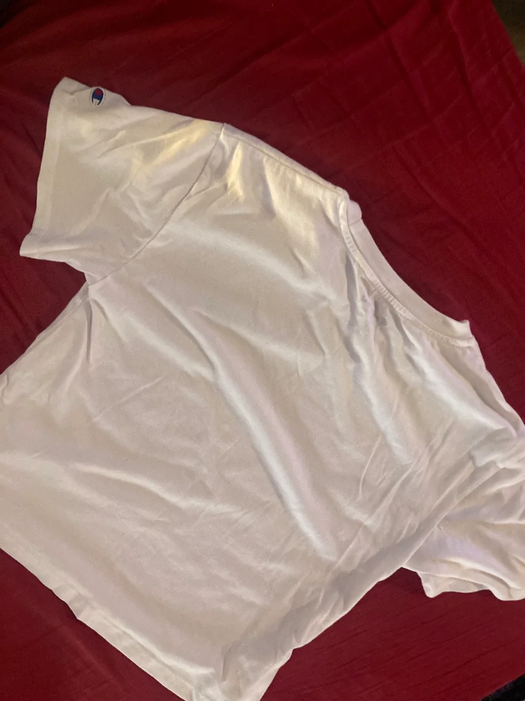 Champion Authentic Athleticwear T-Shirt - Size L image indicator(2)