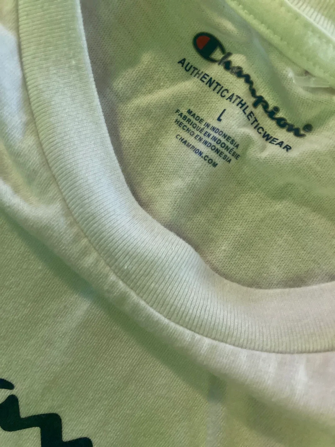 Champion Authentic Athleticwear T-Shirt - Size L image indicator(3)