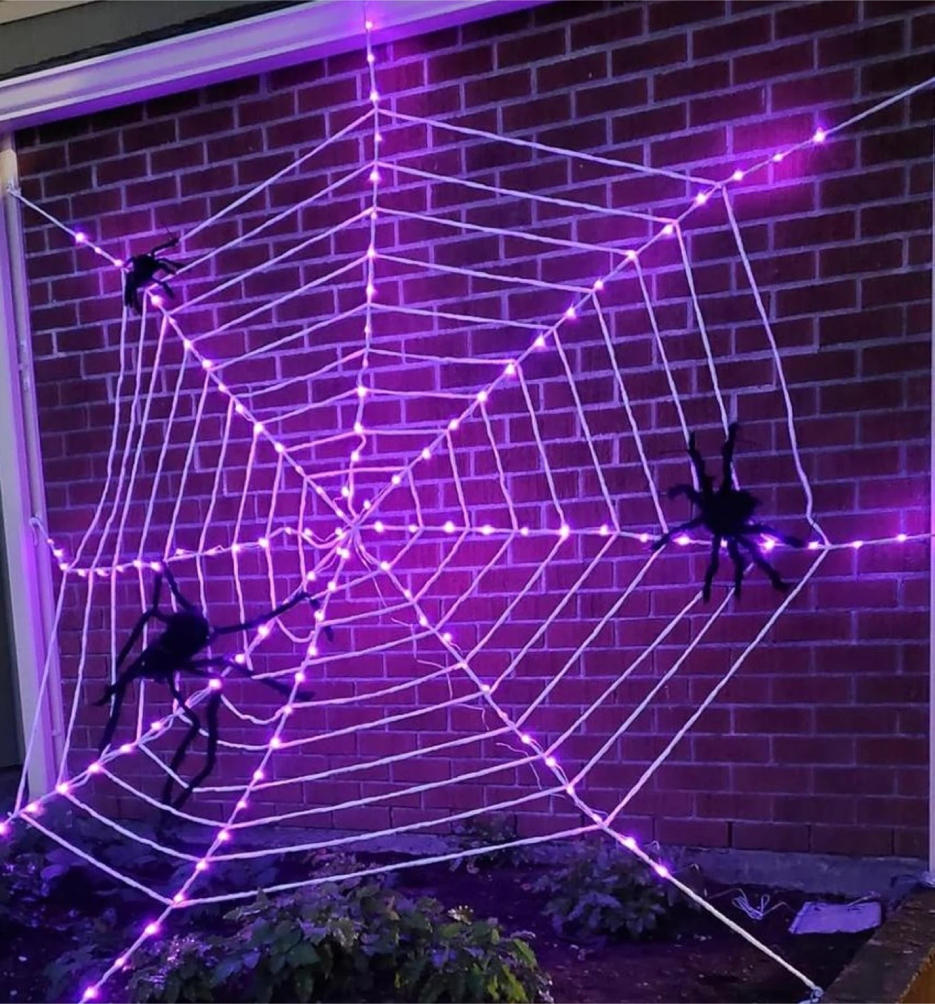 Halloween Spider Web