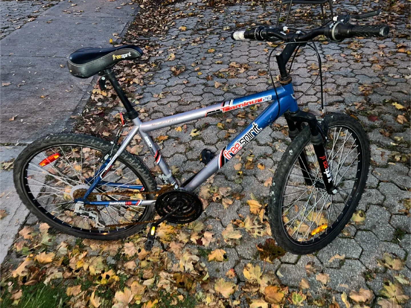 FreeSpirit Terminus 26 Mountain Bike