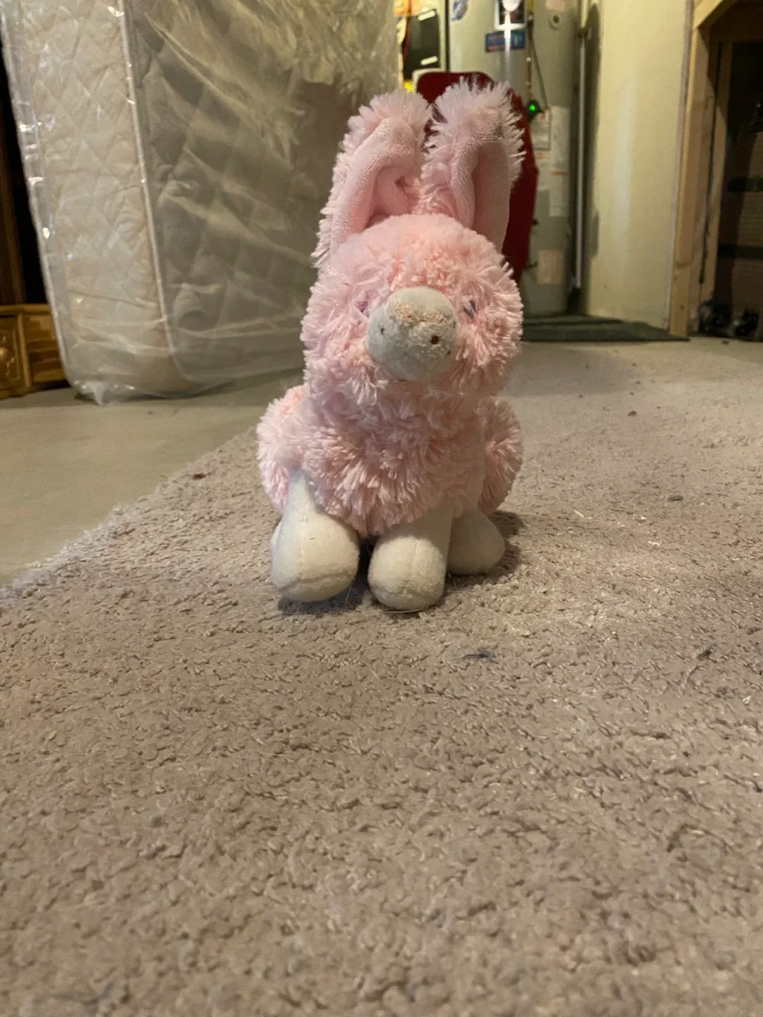 Assorted Plush Toys - Bundle Deal! image indicator(9)