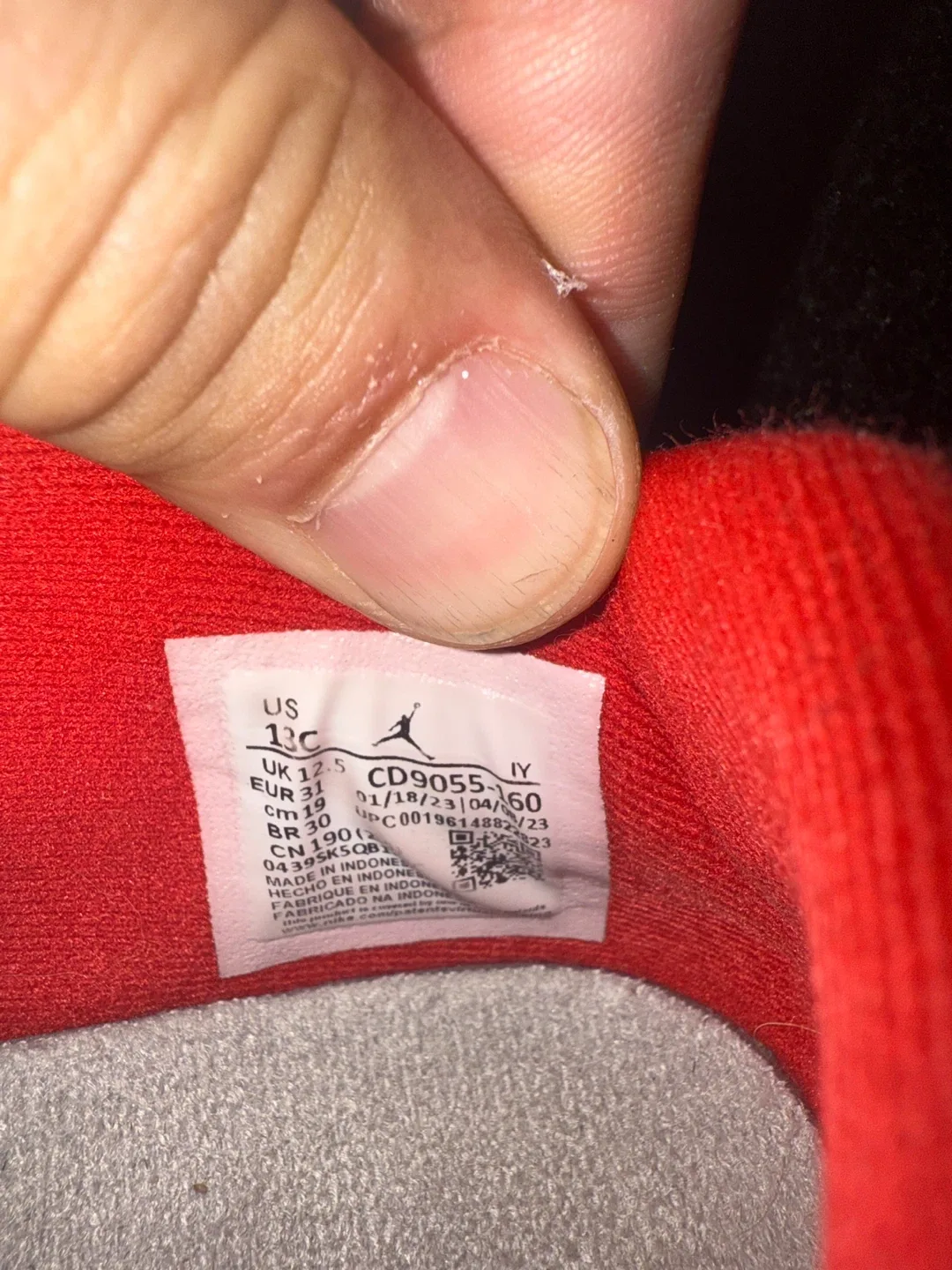 Jordan Trainer ST Size 13C image indicator(3)