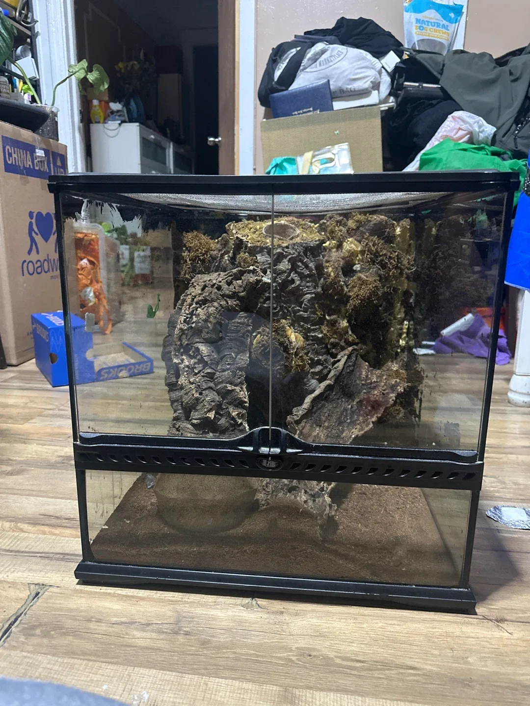 Exo Terra Glass Terrarium image indicator(3)