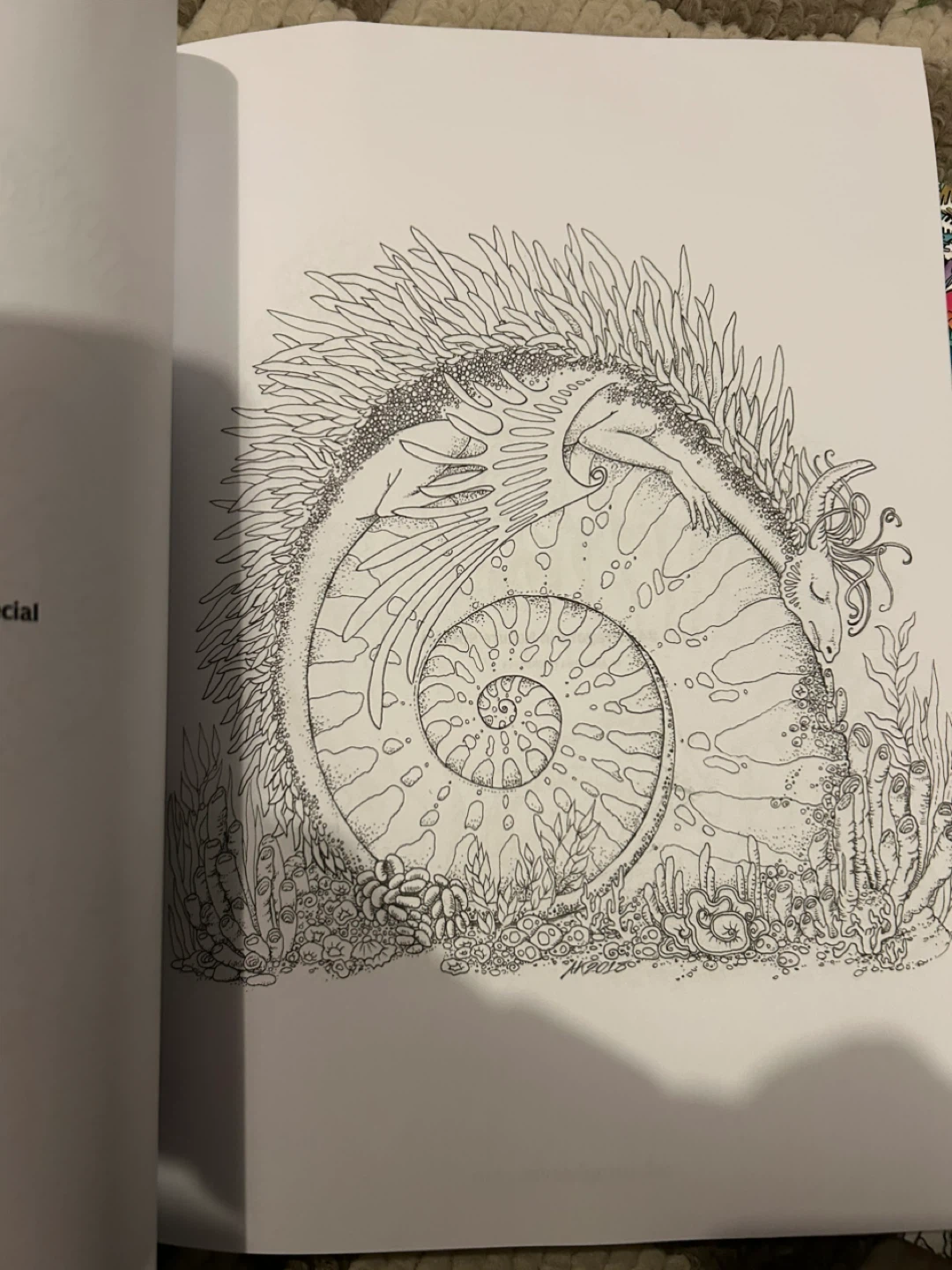 Colouring Books: Dragons Compendium & Mythographic - photo 2