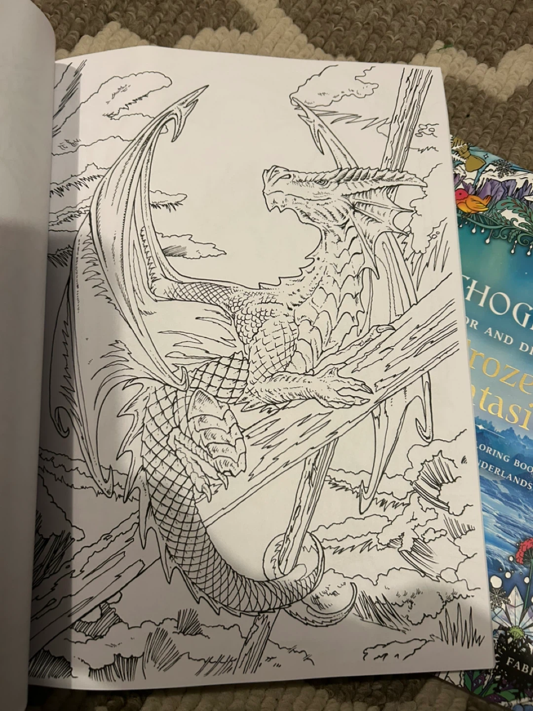 Colouring Books: Dragons Compendium & Mythographic - photo 3