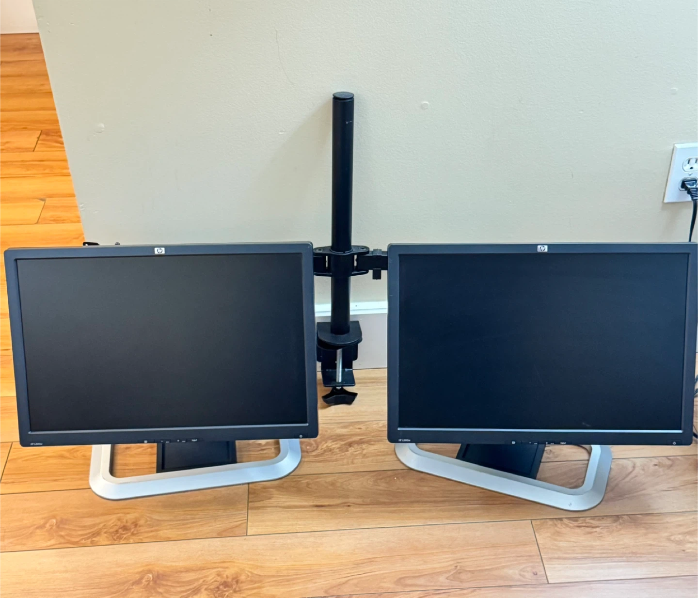 HP Dual Monitor Setup with Mount