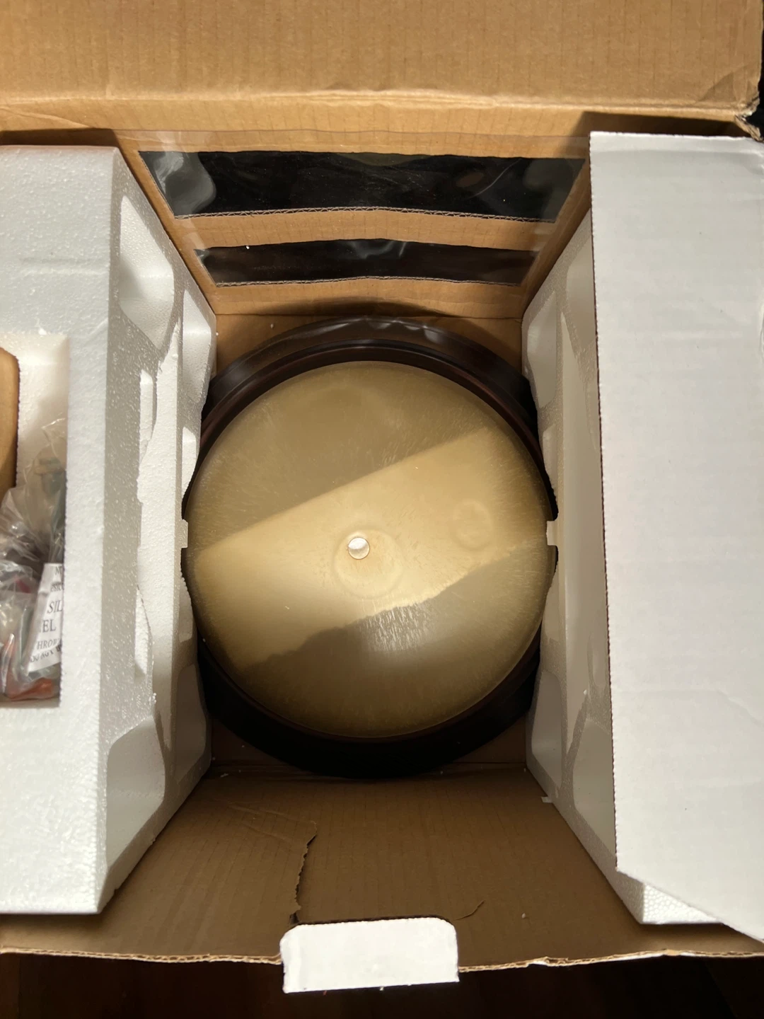 Ceiling Light Fixture