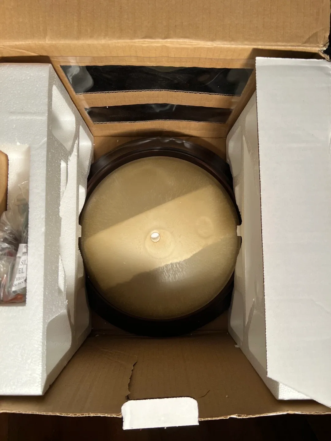 Ceiling Light Fixture