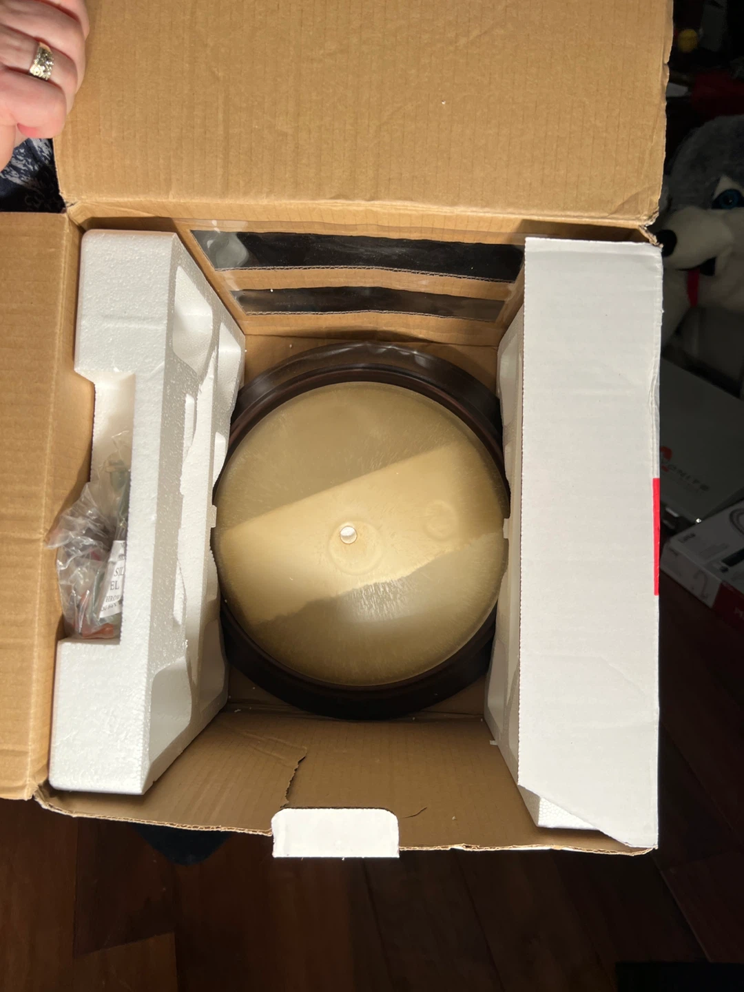 Ceiling Light Fixture - photo 2