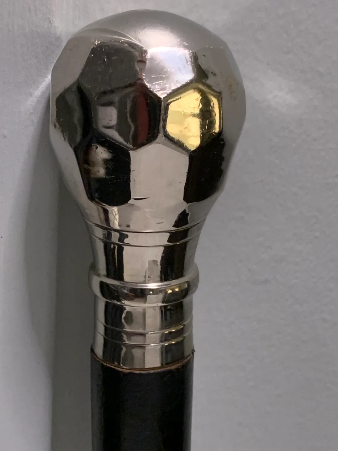 Walking Stick image indicator(2)