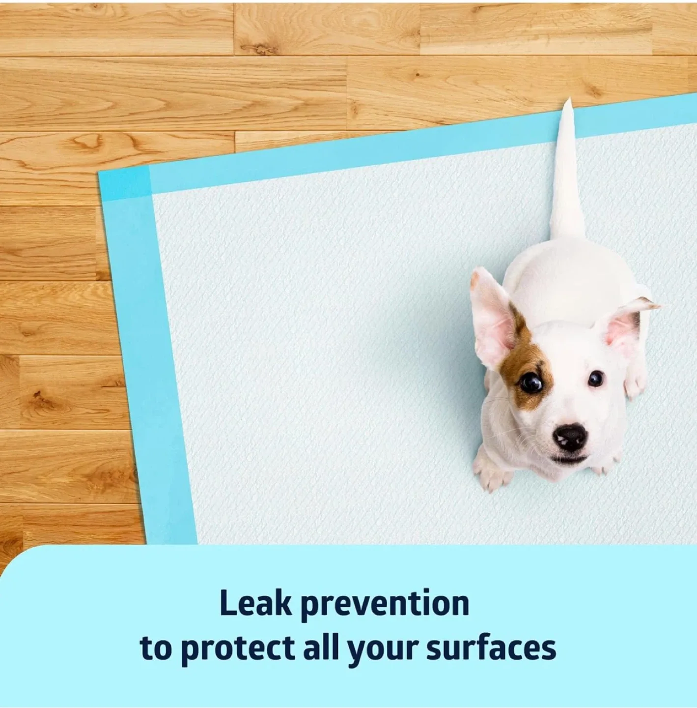 Dog/Puppy Training Pads 50 pieces image indicator(3)