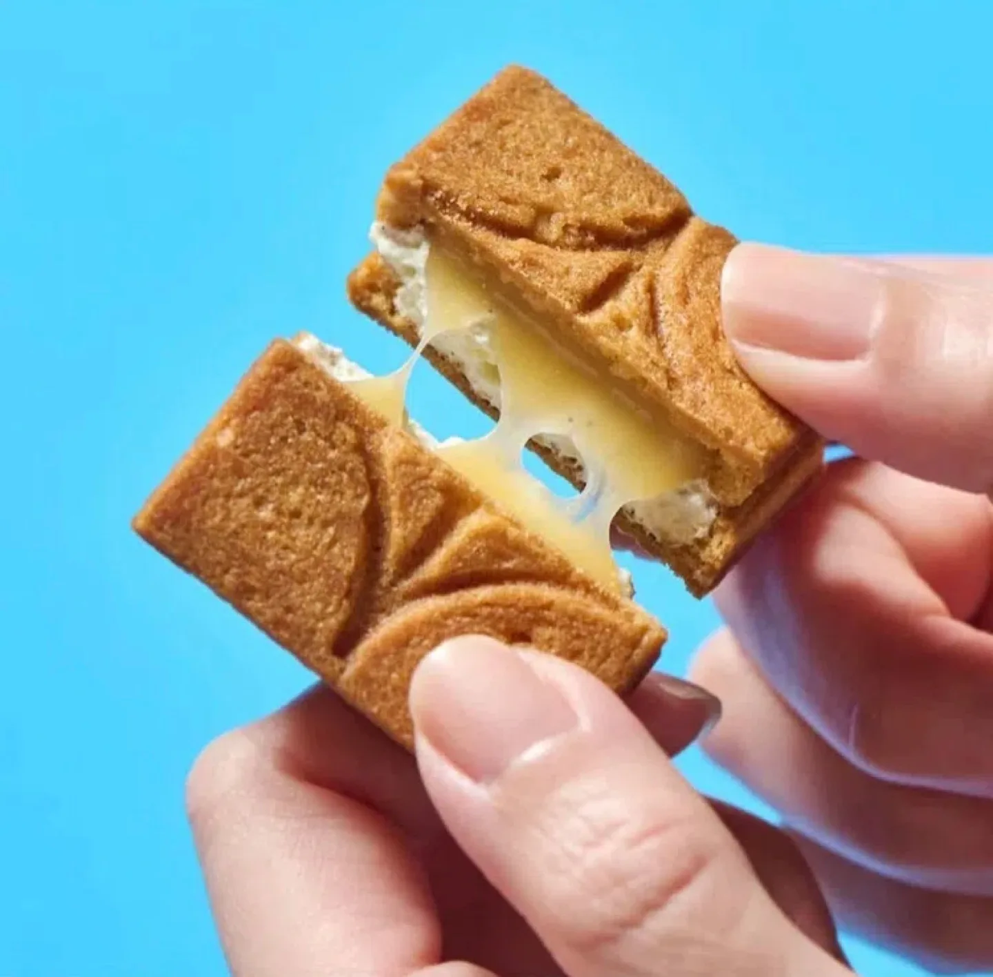 ✨NEW “Press Butter Sand” Japanese Cookies- Vanilla Coconut image indicator(2)