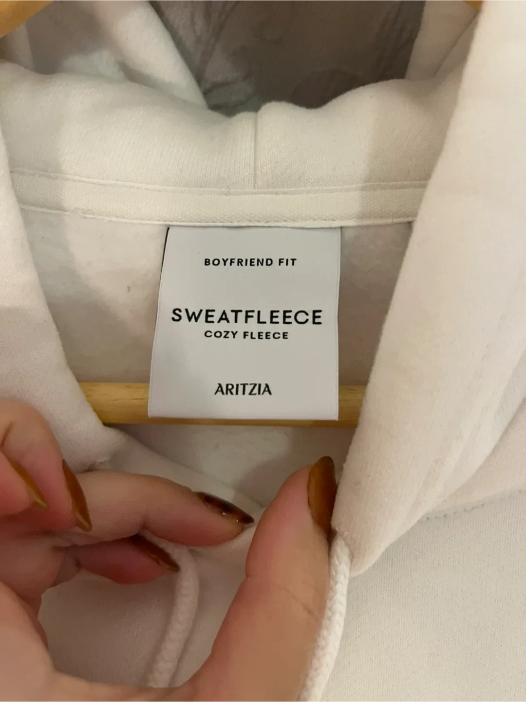 Aritzia Sweatfleece Cozy Fleece Boyfriend Fit Hoodie image indicator(3)