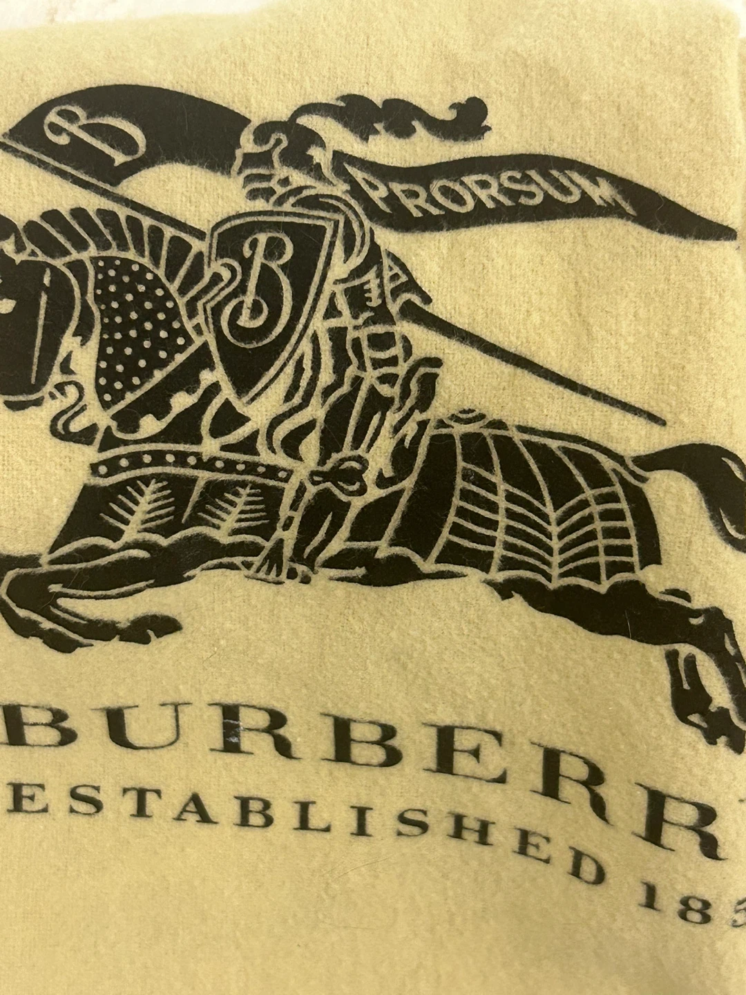 Burberry Coin card purse Case with chain to carry - photo 3