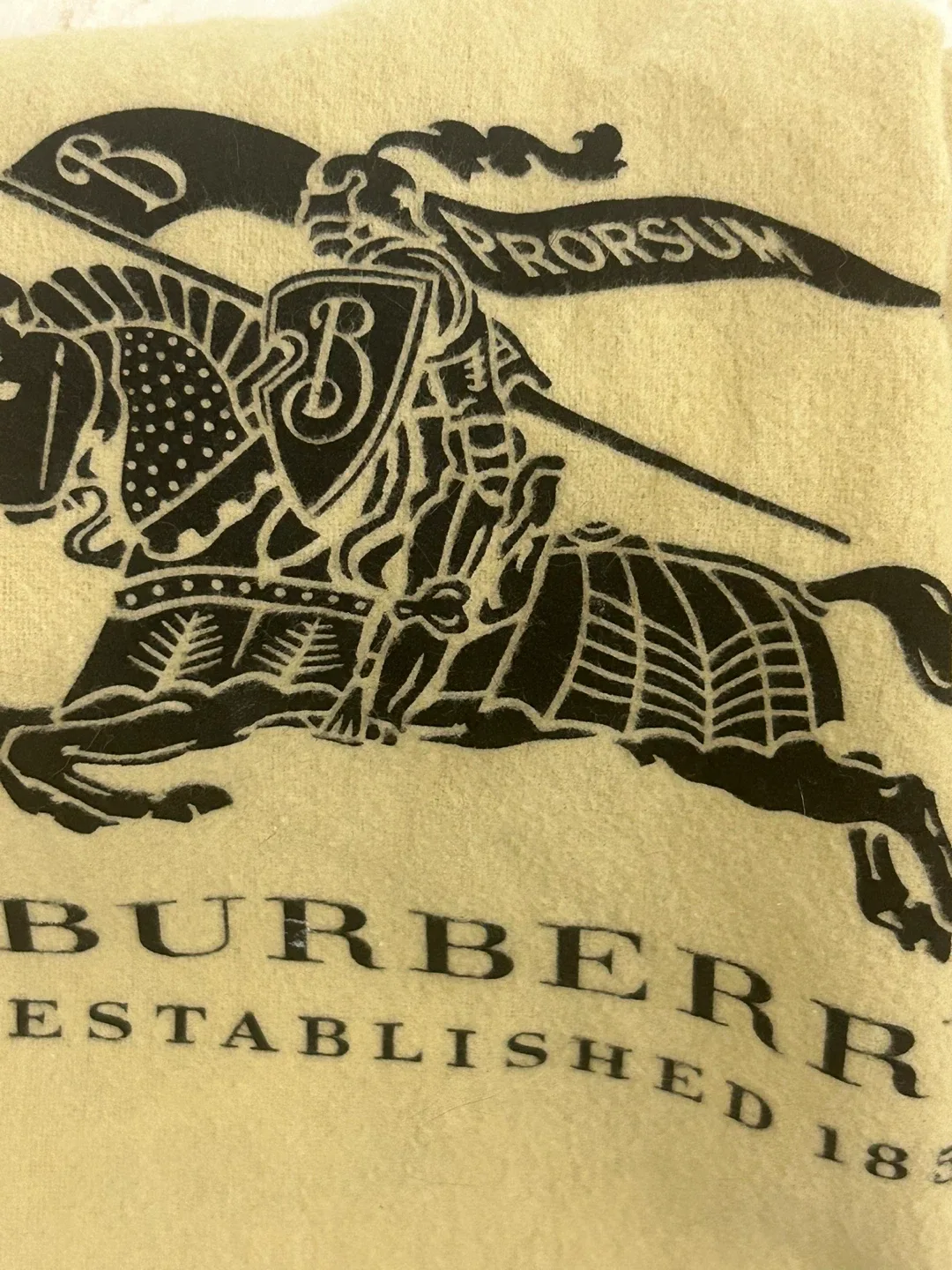 Burberry Coin card purse Case with chain to carry image indicator(3)