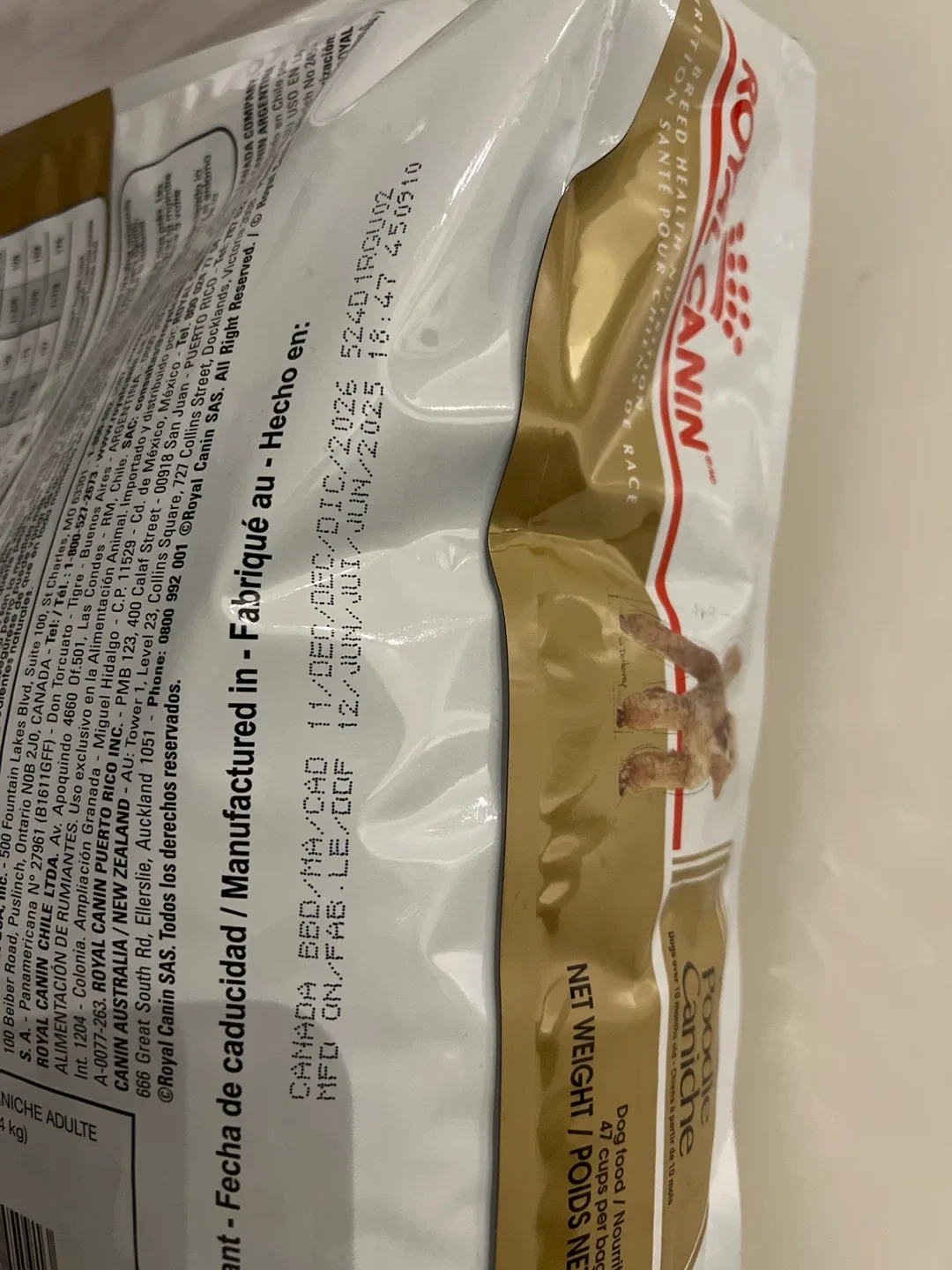 Royal Canin Adult Poodle Caniche 10 lb Dog Food image indicator(5)