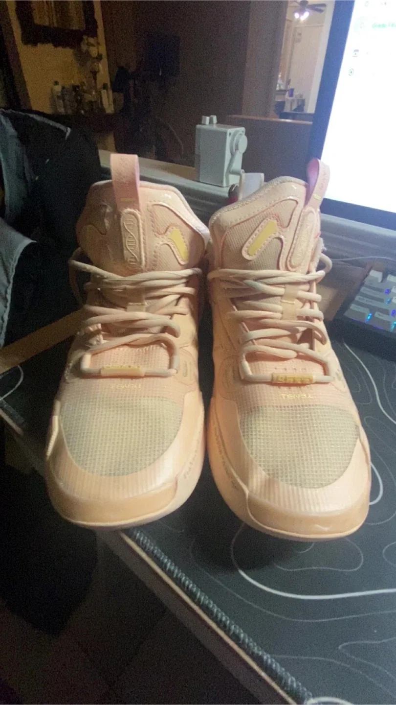 Li-Ning Wade 10 low Basketball Shoes US size 9