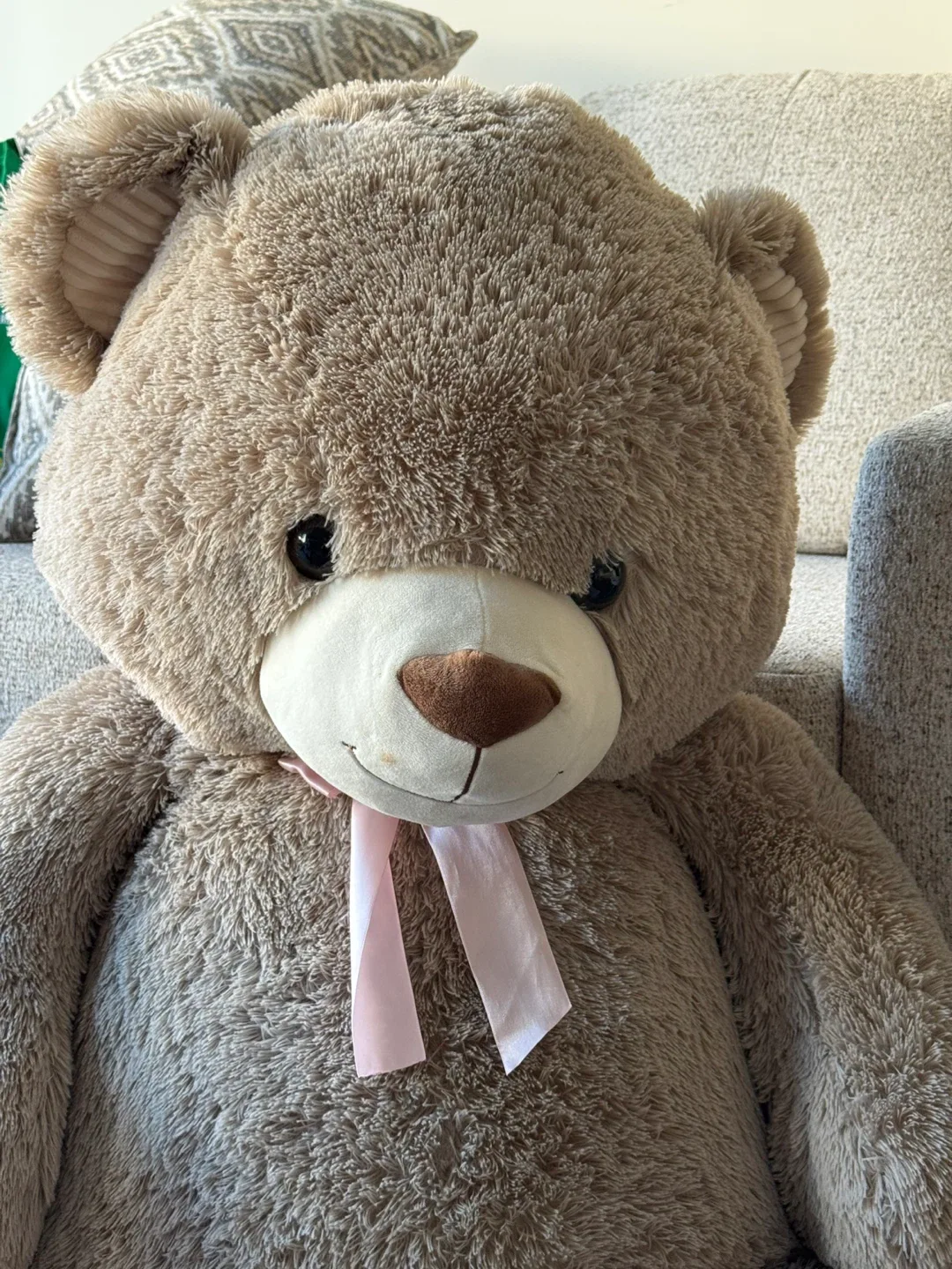 Giant Teddy Bear image indicator(2)