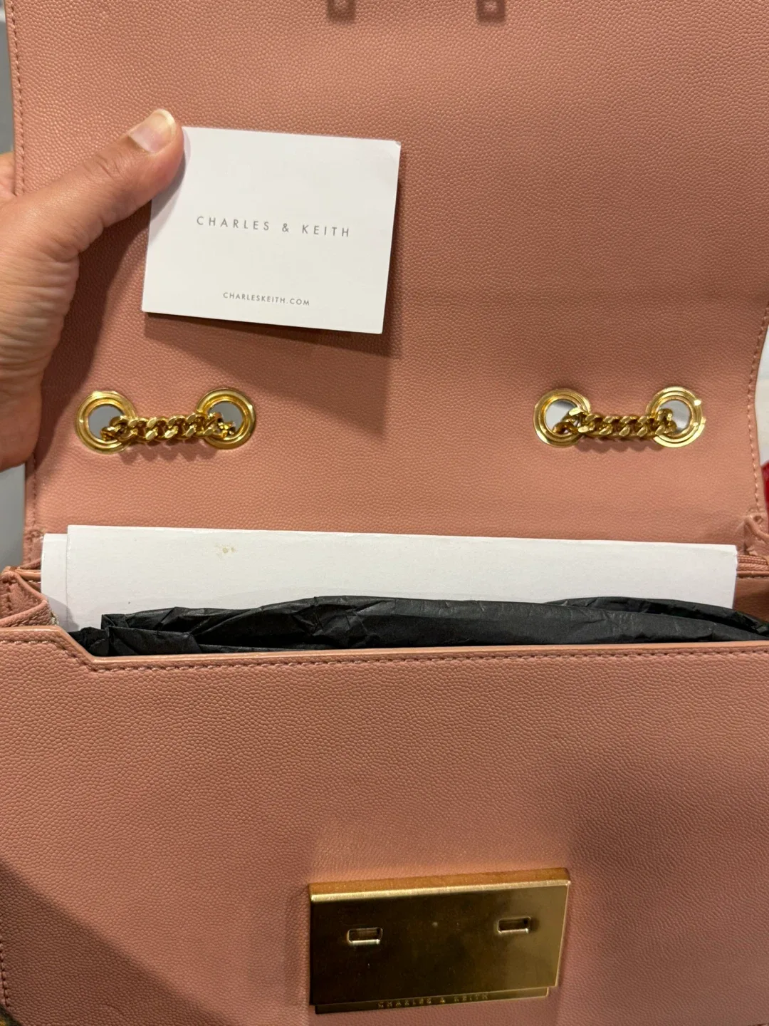 Charles & Keith Pink Chain Bag image indicator(4)