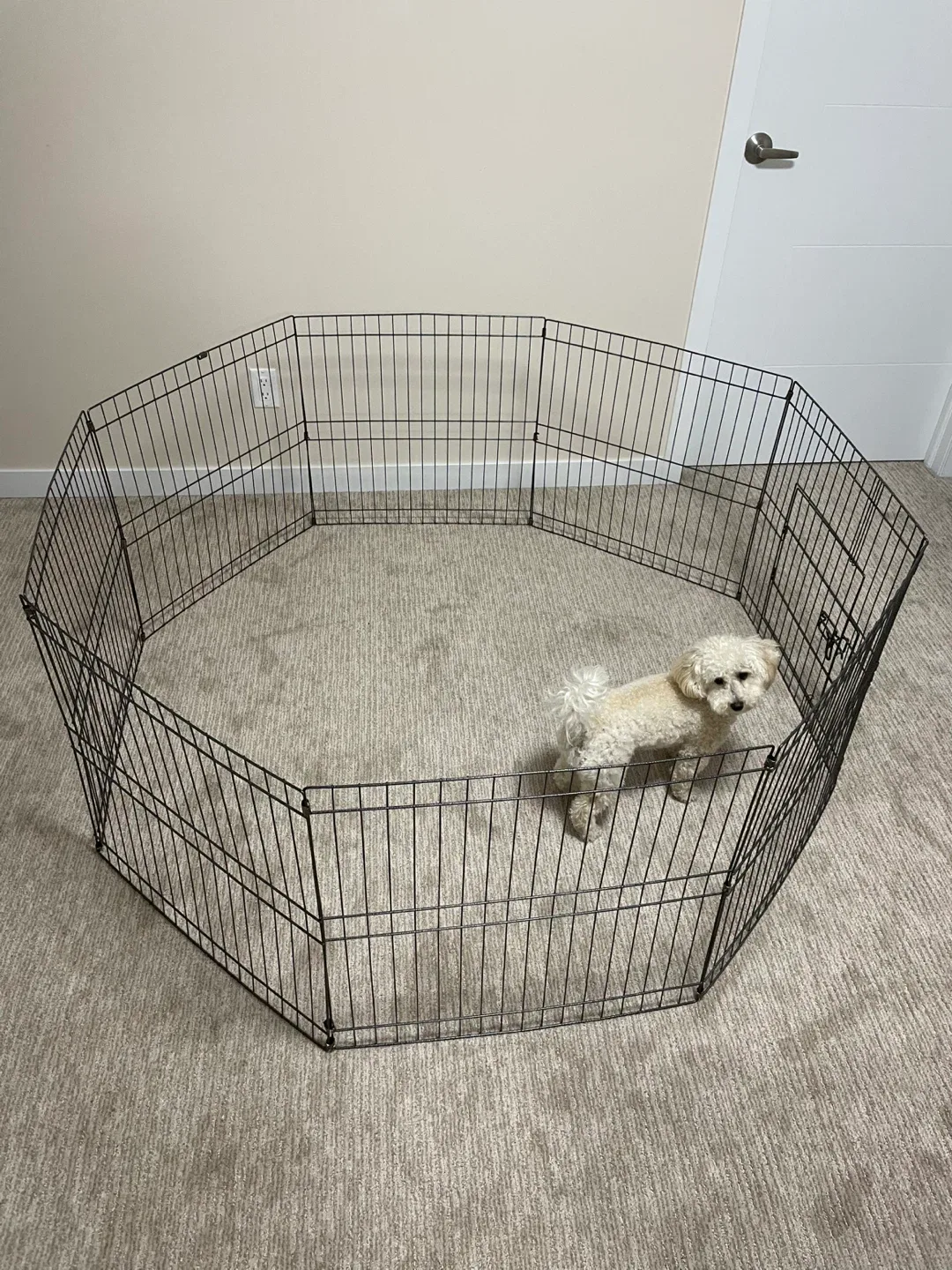 Metal Dog Exercise Pen great condition image indicator(3)