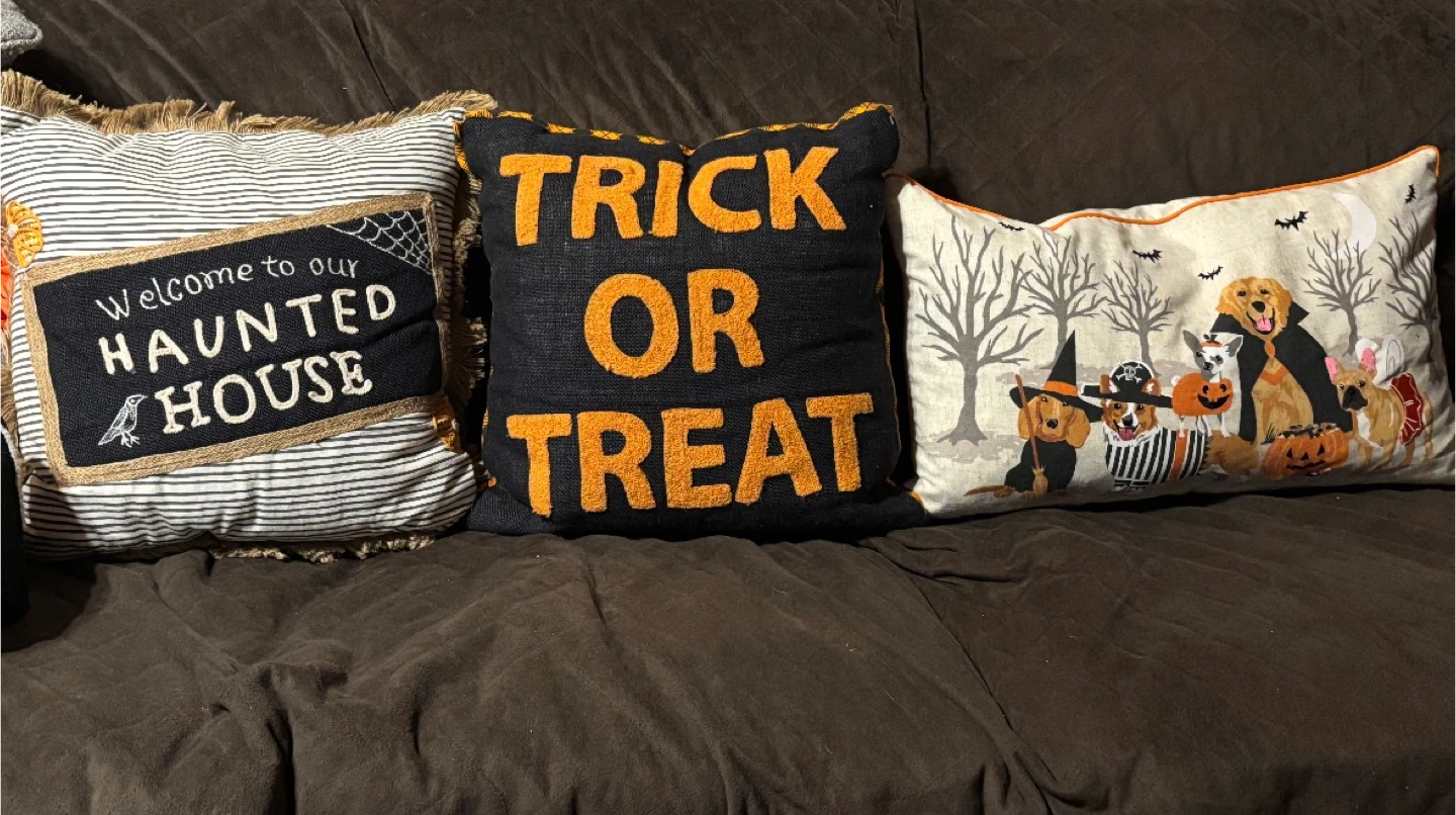 Halloween Decorative Throw Pillows - Set of 3