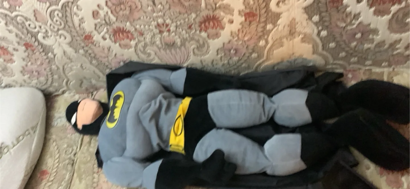 Batman Plush Toy image indicator(2)