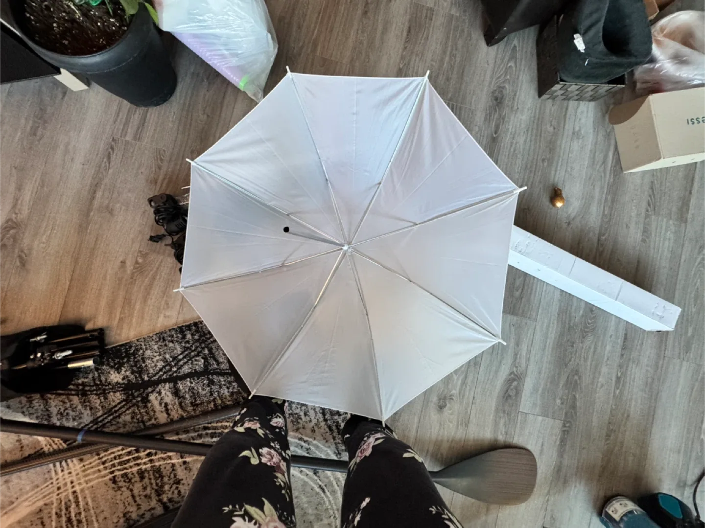 Photography Umbrellas - White, Black, Silver image indicator(6)