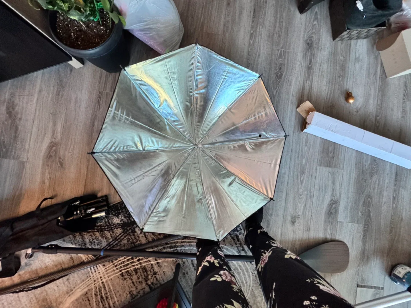 Photography Umbrellas - White, Black, Silver image indicator(5)