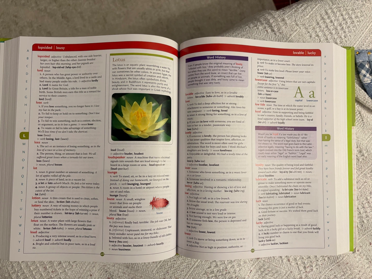 Scholastic Children's Dictionary - photo 2
