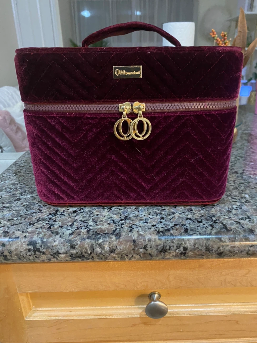 Quo Makeup Train Case - Burgundy