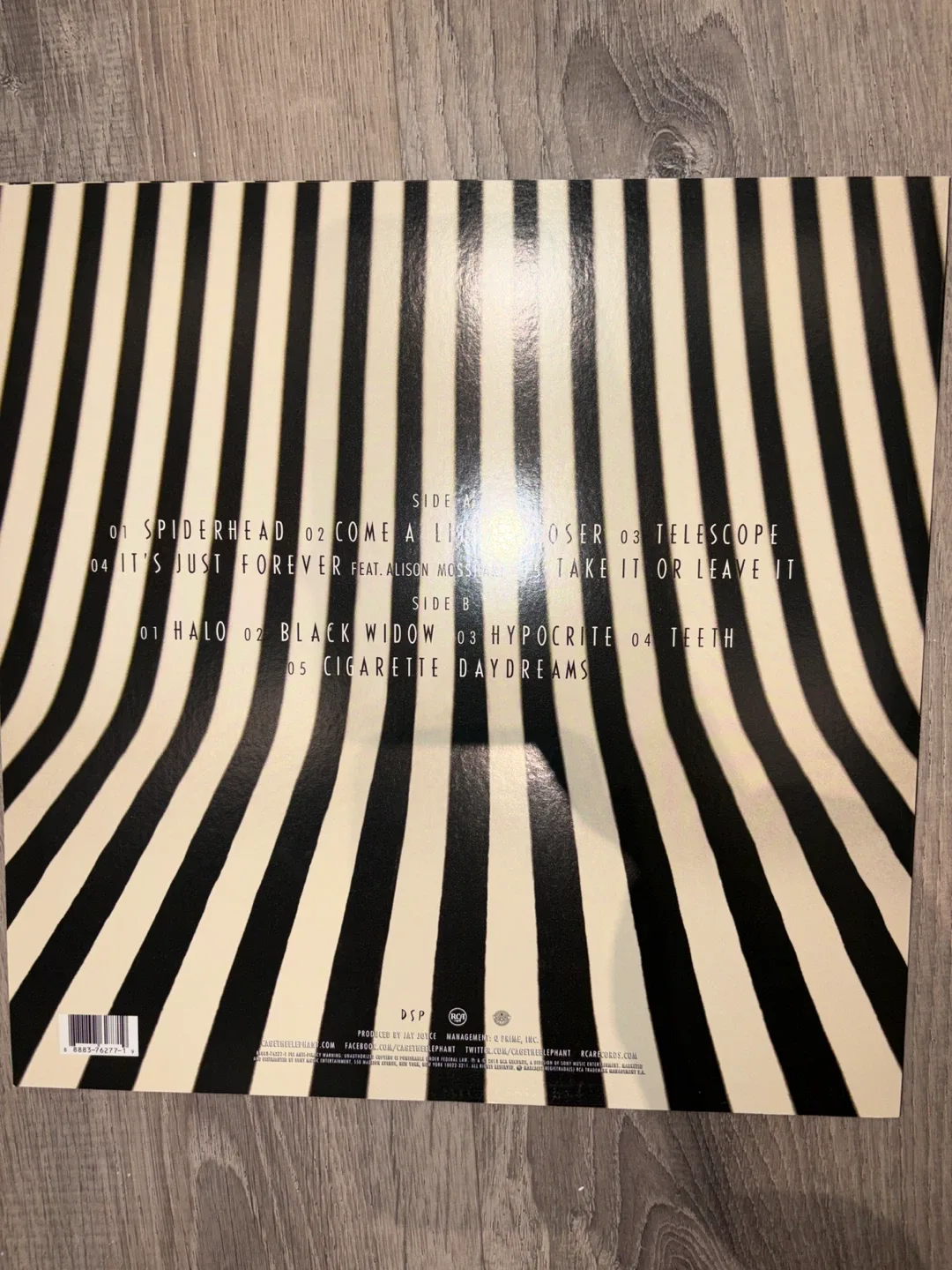 Cage The Elephant - Melophobia Vinyl Record image indicator(2)