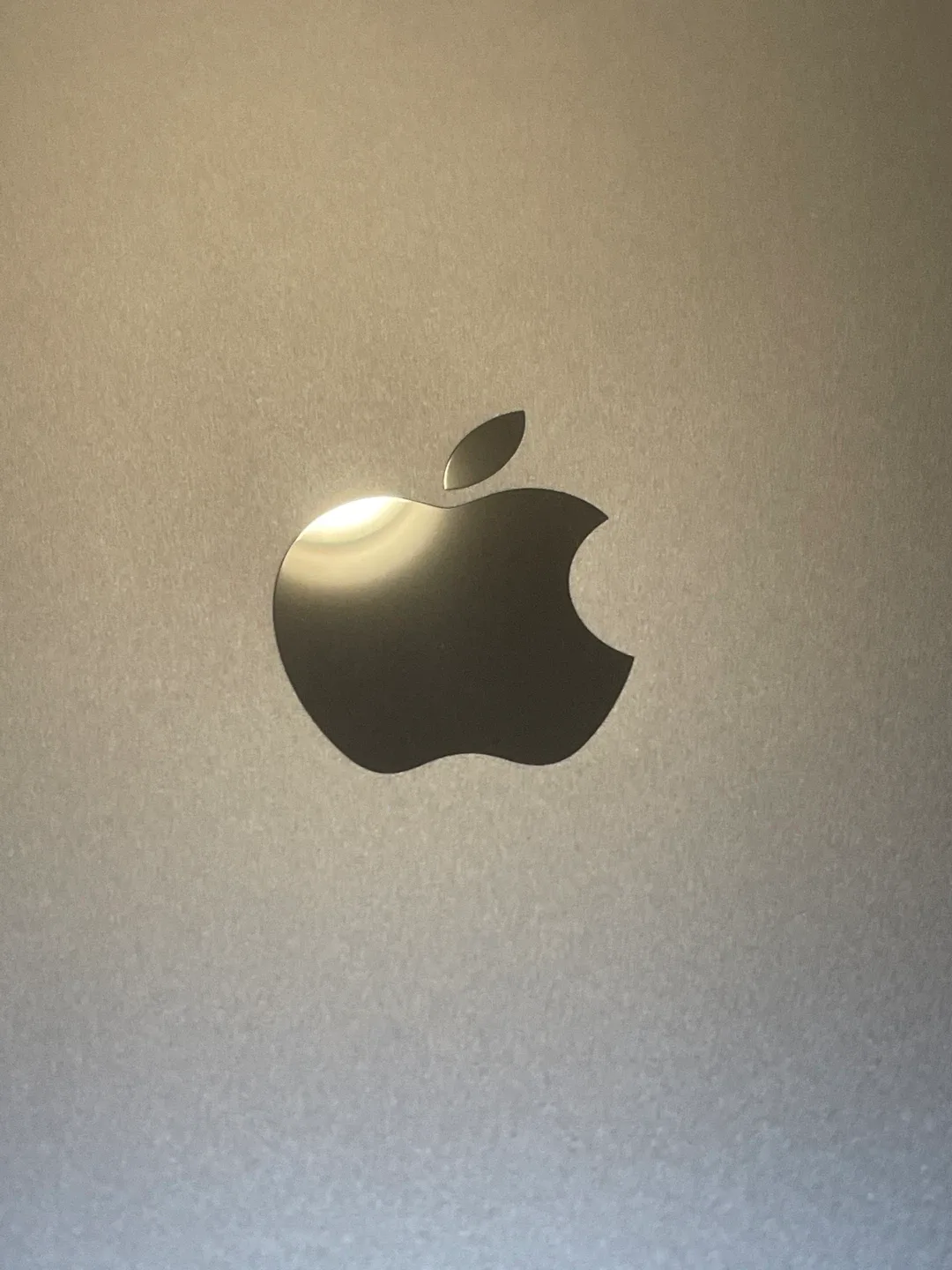 Apple iPad 9th Gen 265GB with Apple Pencil image indicator(8)