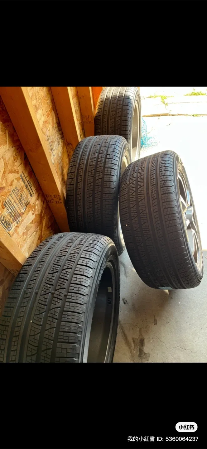 Pirelli Scorpion Verde 265/50R19 Tires image indicator(4)