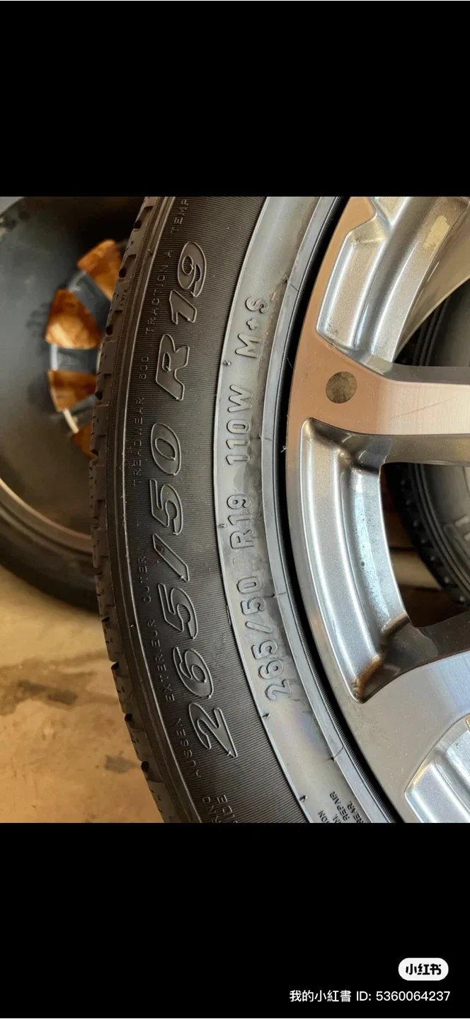 Pirelli Scorpion Verde 265/50R19 Tires image indicator(2)