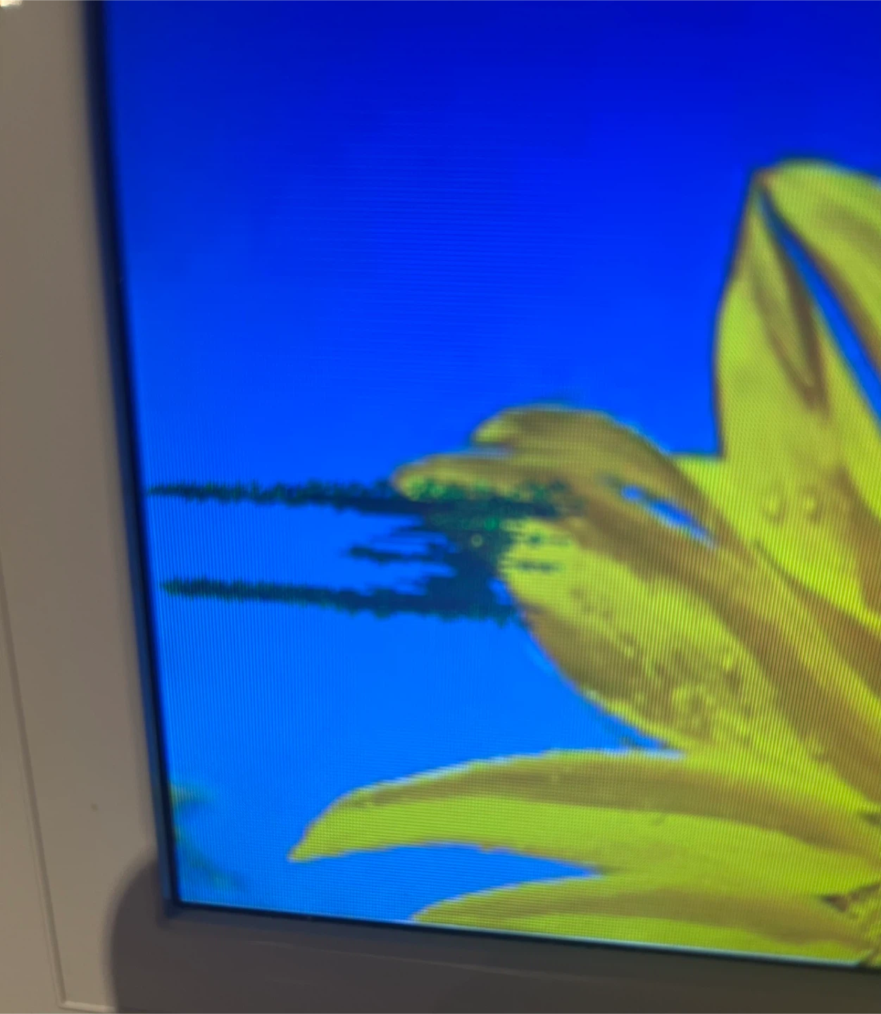 Kodak EasyShare P720 7" Digital Photo Frame - photo 2