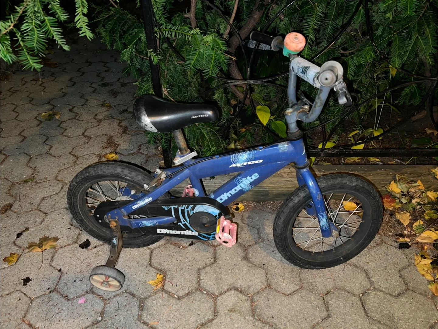 Kids Bike