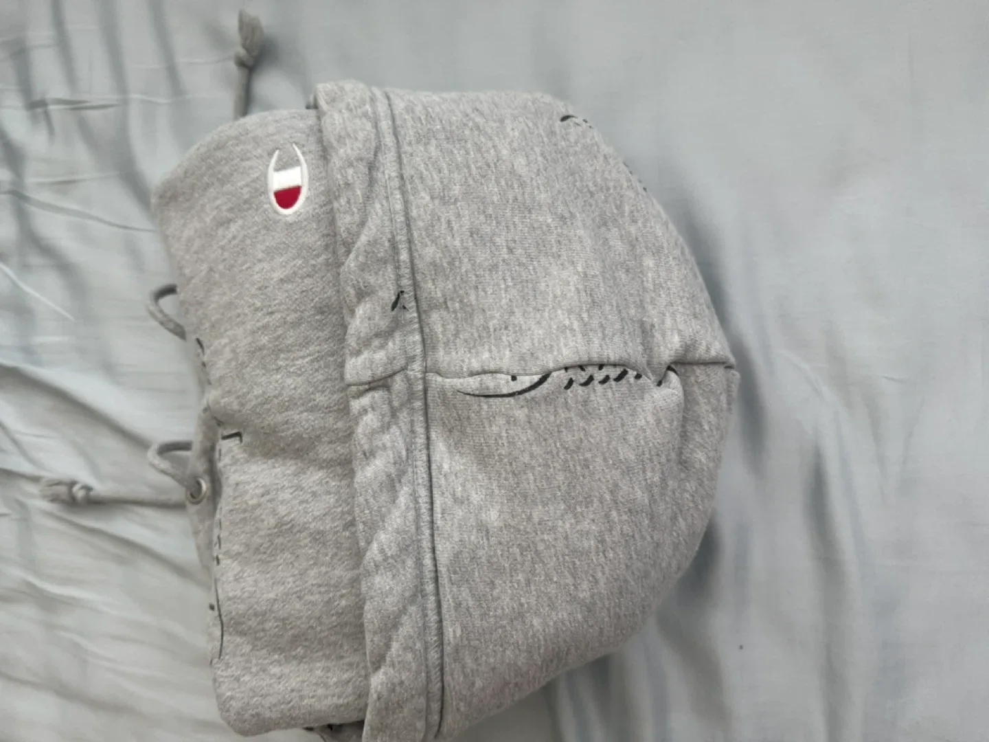 Champion Reverse Weave Hoodie - Large image indicator(6)